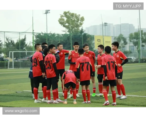 足球的魅力与全球文化碰撞:从球场到社会变革的深度探索 足球的魅力与全球文化碰撞:从球场到社会变革的深度探索