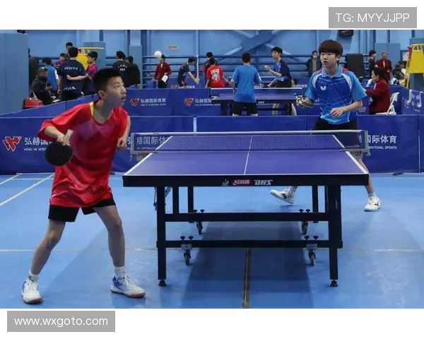 乒乓球运动的魅力与技术发展探索：从基础技巧到竞技水平的全面提升