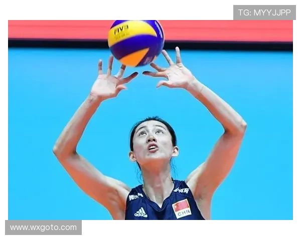 对话陈娜：回顾排球生涯的辉煌与挑战与成长之路