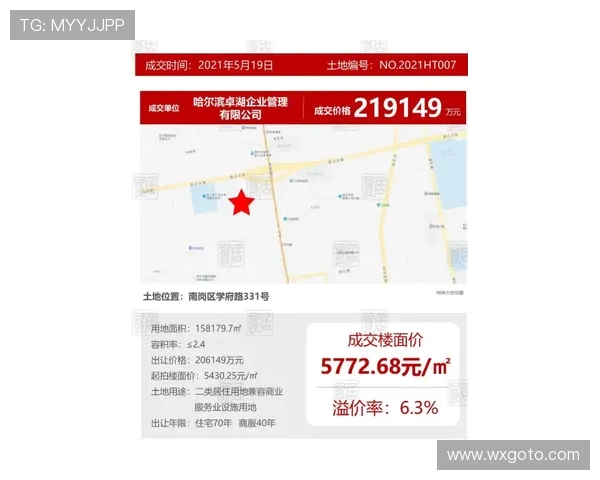 成都乒乓球队实力深度对比分析及未来发展潜力探讨