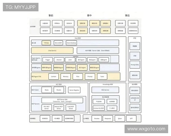 重庆飞盘队区域防守新策略探讨与实践分析